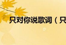 只對你說歌詞（只想對你說完整版歌詞）