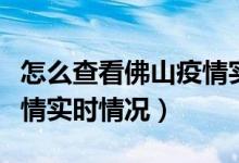 怎么查看佛山疫情實時情況（如何查看佛山疫情實時情況）