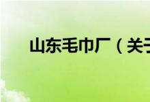 山東毛巾廠（關(guān)于山東毛巾廠的介紹）