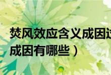 焚風效應(yīng)含義成因過程（焚風效應(yīng)是什么意思成因有哪些）