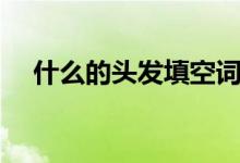 什么的頭發(fā)填空詞語(頭發(fā)的詞語搭配)