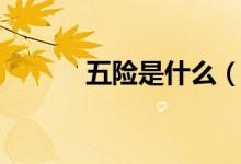 五險(xiǎn)是什么（五險(xiǎn)有什么特點(diǎn)）