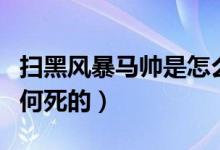 掃黑風暴馬帥是怎么死的（掃黑風暴馬帥是如何死的）