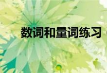 數(shù)詞和量詞練習（數(shù)詞和量詞的區(qū)別）