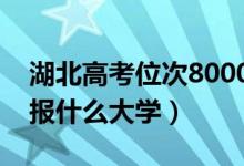湖北高考位次8000左右推薦什么學校（適合報什么大學）