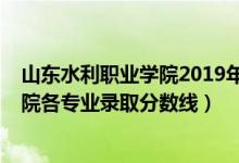 山東水利職業(yè)學(xué)院2019年分?jǐn)?shù)線(2019年山東水利職業(yè)學(xué)院各專(zhuān)業(yè)錄取分?jǐn)?shù)線)