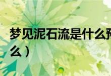 夢見泥石流是什么預兆（夢見泥石流意思是什么）