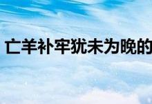 亡羊補(bǔ)牢猶未為晚的意思是什么（亡羊補(bǔ)牢）