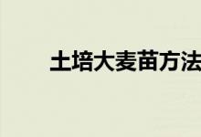 土培大麥苗方法（怎樣土培大麥苗）