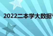 2022二本學(xué)大數(shù)據(jù)專業(yè)怎么樣（好就業(yè)嗎）