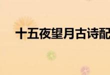十五夜望月古詩配畫（十五夜望月古詩）