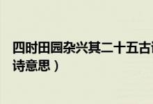 四時(shí)田園雜興其二十五古詩講解（四時(shí)田園雜興其二十五古詩意思）
