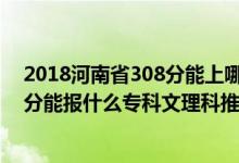 2018河南省308分能上哪些?？疲?022河南高考290-300分能報什么?？莆睦砜仆扑]什么學(xué)校）