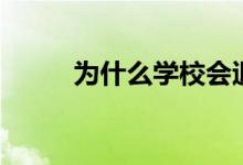 為什么學(xué)校會退檔(原因有哪些)
