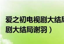 愛之初電視劇大結局謝羽的結局（愛之初電視劇大結局謝羽）