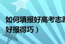 如何填報好高考志愿(高考志愿怎樣才能填得好報得巧)