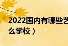 2022國內(nèi)有哪些藝術(shù)類院校（藝術(shù)生能上什么學(xué)校）