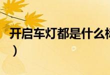 開啟車燈都是什么標志（燈的圖標分別是什么）