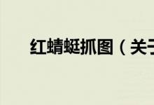 紅蜻蜓抓圖（關(guān)于紅蜻蜓抓圖的介紹）