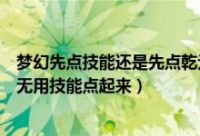 夢(mèng)幻先點(diǎn)技能還是先點(diǎn)乾元丹（夢(mèng)幻西游靠乾元丹讓玩家把無用技能點(diǎn)起來）