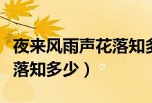 夜來風(fēng)雨聲花落知多少的意思(夜來風(fēng)雨聲花落知多少)