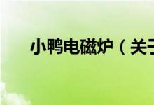 小鴨電磁爐（關于小鴨電磁爐的介紹）