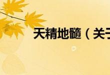 天精地髓（關(guān)于天精地髓的介紹）