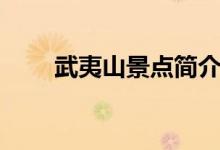 武夷山景點(diǎn)簡(jiǎn)介（武夷山簡(jiǎn)單介紹）