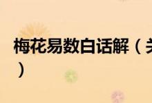 梅花易數(shù)白話解（關(guān)于梅花易數(shù)白話解的介紹）