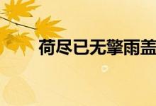 荷盡已無(wú)擎雨蓋（荷盡已無(wú)擎雨蓋）