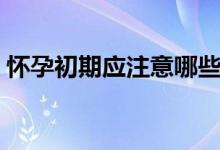 懷孕初期應注意哪些（懷孕初期的注意事項）