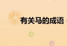 有關(guān)馬的成語(yǔ)（有關(guān)馬四字成語(yǔ)）