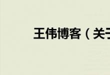 王偉博客（關于王偉博客的介紹）