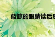 藍鯨的眼睛讀后感（藍鯨的眼睛簡介）