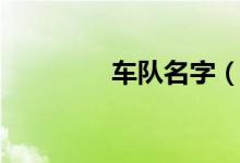 車隊(duì)名字（車隊(duì)名字大全）