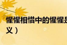 惺惺相惜中的惺惺是什么意思（惺惺相惜的含義）