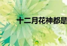 十二月花神都是誰(shuí)（大家可以看看）