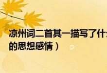 涼州詞二首其一描寫(xiě)了什么之情（涼州詞這首詩(shī)表達(dá)了怎樣的思想感情）