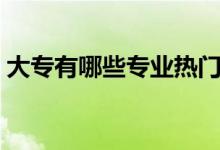 大專有哪些專業(yè)熱門(最吃香的專業(yè)有哪些)
