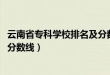 云南省專(zhuān)科學(xué)校排名及分?jǐn)?shù)線（2022云南省專(zhuān)科院校排名及分?jǐn)?shù)線）