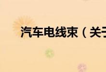 汽車電線束（關(guān)于汽車電線束的介紹）
