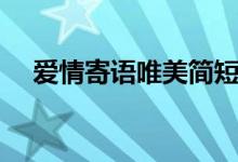 愛情寄語唯美簡短（愛情寄語唯美分享）
