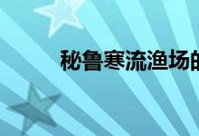 秘魯寒流漁場的成因（秘魯寒流）