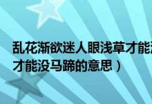 亂花漸欲迷人眼淺草才能沒馬蹄內涵（亂花漸欲迷人眼淺草才能沒馬蹄的意思）