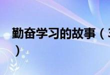 勤奮學(xué)習(xí)的故事（3個關(guān)于勤奮學(xué)習(xí)的小故事）