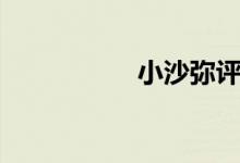 小沙彌評新股(小沙)