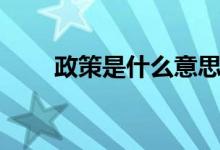 政策是什么意思(政策意思是什么)