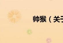 帥猴（關(guān)于帥猴的介紹）