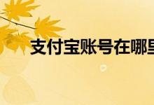 支付寶賬號(hào)在哪里看（賬號(hào)如何查看）