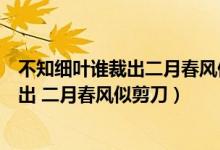 不知細葉誰裁出二月春風似剪刀是什么修辭（不知細葉誰裁出 二月春風似剪刀）